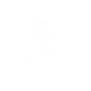 CG Eagle Team